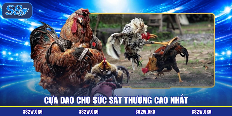 Cựa dao cho sức sát thương cao nhất