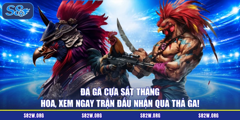 Đá Gà Cựa Sắt Thăng Hoa, Xem Ngay Trận Đấu Nhận Quà Thả Ga!